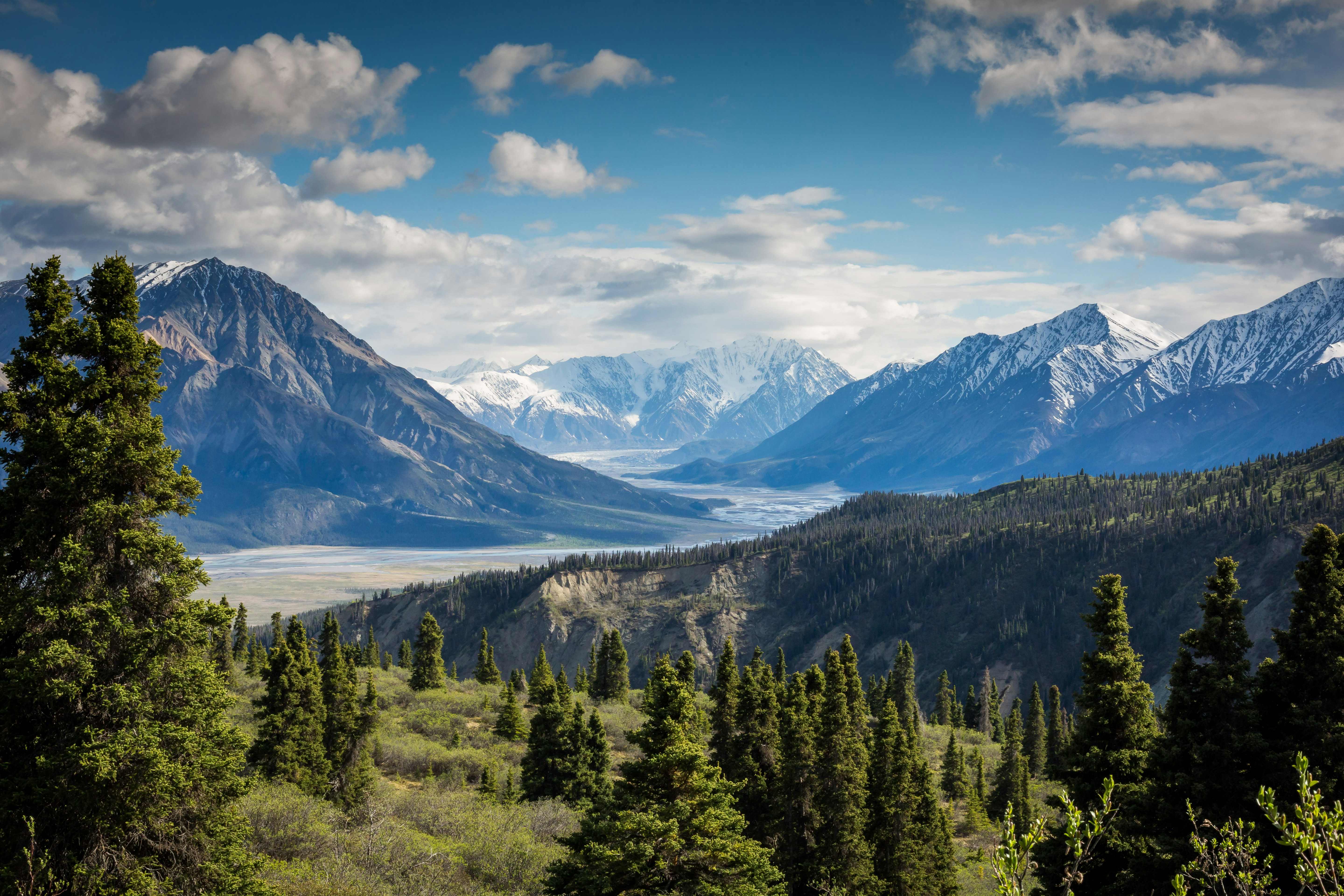 Photo by Kalen Emsley on Unsplash